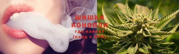ПСИЛОЦИБИНОВЫЕ ГРИБЫ Сатка
