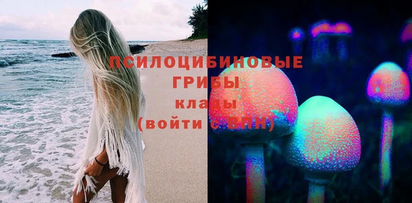 сатива Сафоново