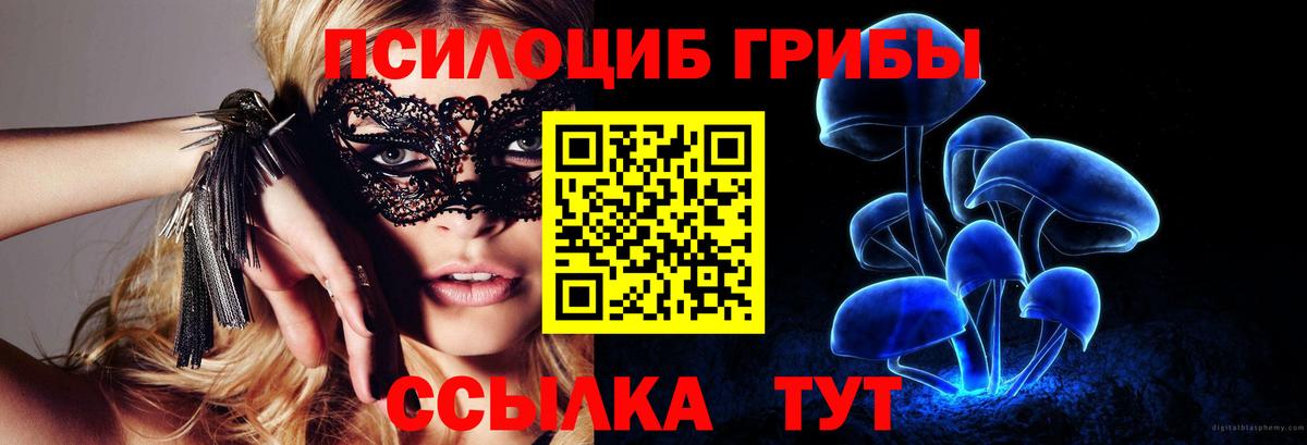 Галлюциногенные грибы Cubensis  Вход с VPN  Ефремов 